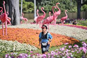 BIB: 
                            <button type="button" onclick="openModal(27793578)" class="btn btn-primary btn-sm float-right btn-popup" data-toggle="modal" data-target=".modal-high-quality">
                        <i class="fas fa-shopping-cart"></i> Add to Cart
                    </button>
                                            <button type="button" onclick="isThisMe(27793578, true)" class="btn btn-success btn-sm float-right btn-popup btn-isme hidden" data-toggle="tooltip" data-placement="bottom" title="นี่คือรูปของคุณใช่ไหม คลิกที่นี่เพื่อเอาเข้าอัลบั้ม">
                        <i class="fas fa-plus"></i> Add to album
                    </button>
                    <button type="button" onclick="isThisMe(27793578, false)" class="btn btn-warning btn-sm float-right btn-popup btn-isnotme hidden">
                        <i class="fas fa-ban"></i> Remove from album
                    </button>